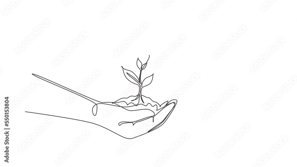 Self drawing animation of single line draw new life in hands on white background. Female hand holding tree on nature field grass Forest conservation concept. Continuous line draw. Full length animated Self drawing animation of single line draw new life in hands on white background. Female hand holding tree on nature field grass Forest conservation concept. Continuous line draw. Full length animated