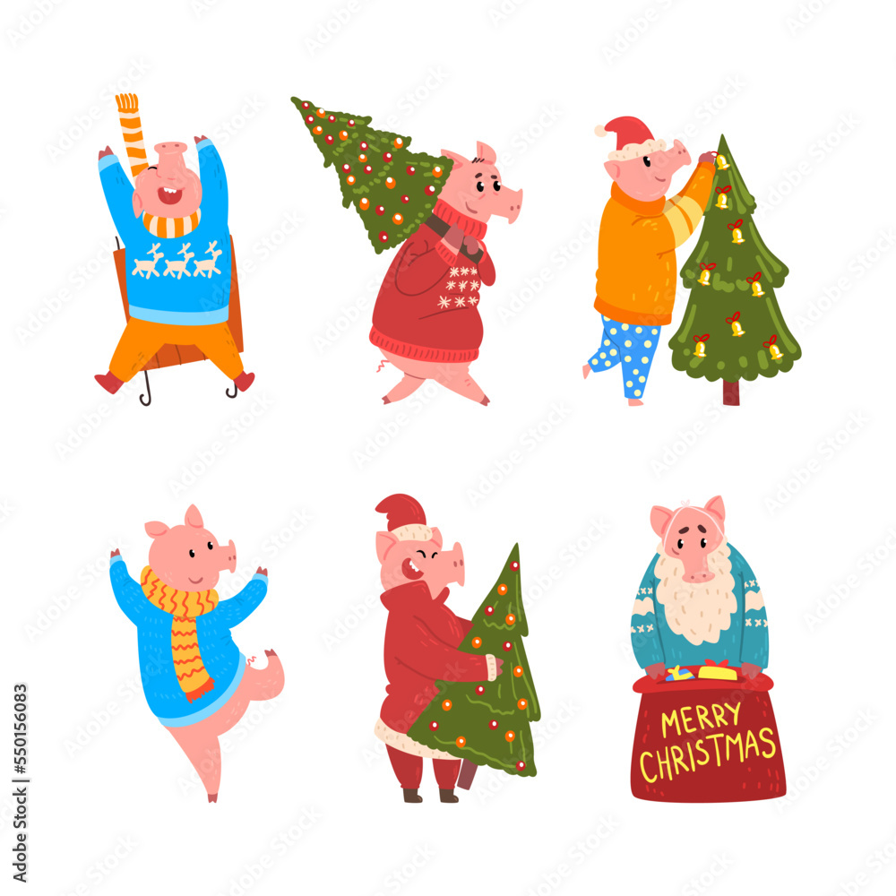Fototapeta premium Pig Christmas Character Wearing Sweater and Scarf with Sack and Fir Tree Vector Set