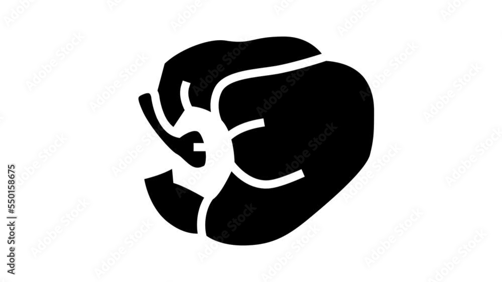 red pepper food glyph icon animation red pepper food glyph icon animation