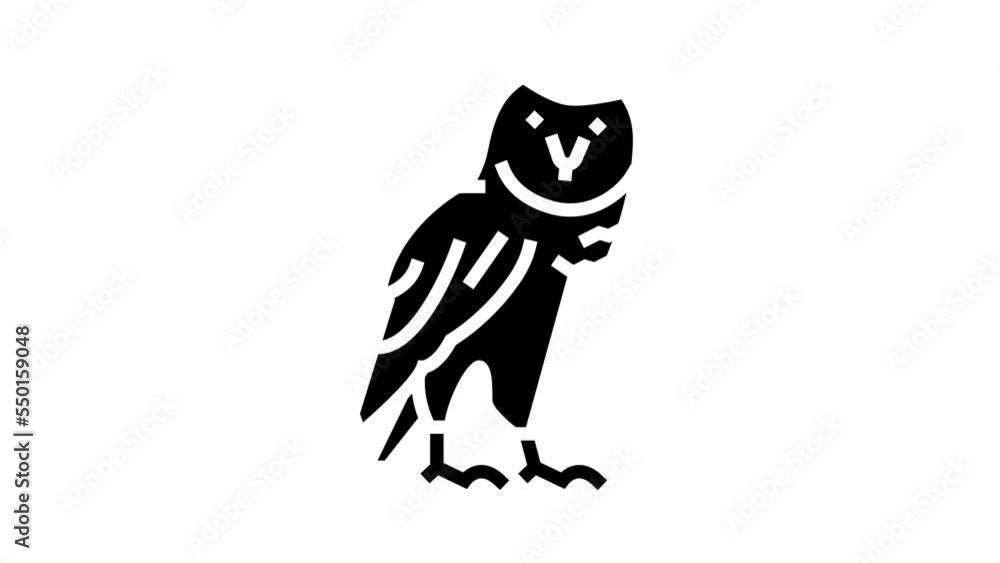 owl wild bird glyph icon animation owl wild bird glyph icon animation
