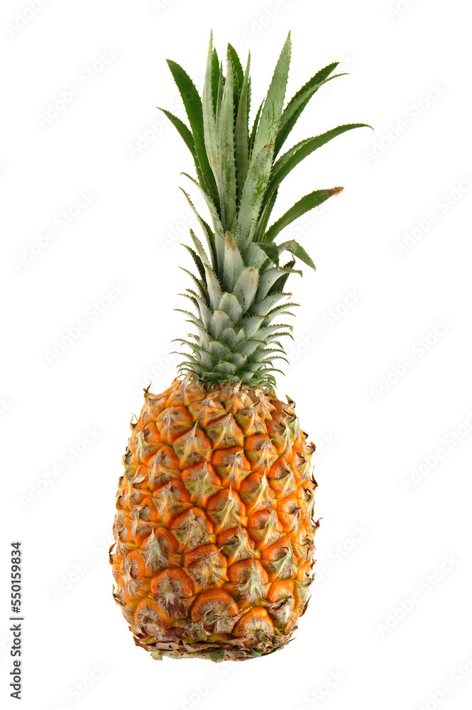 pineapple isolated on white background pineapple isolated on white background