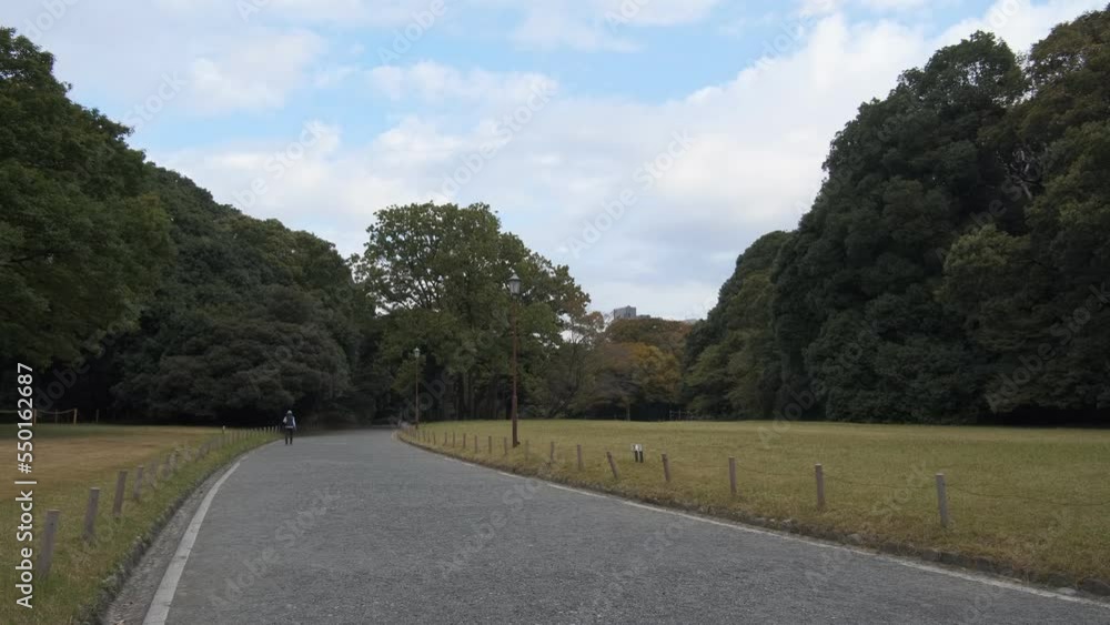 東京 明治神宮 早朝 2022年
東京 明治神宮 早朝 2022年