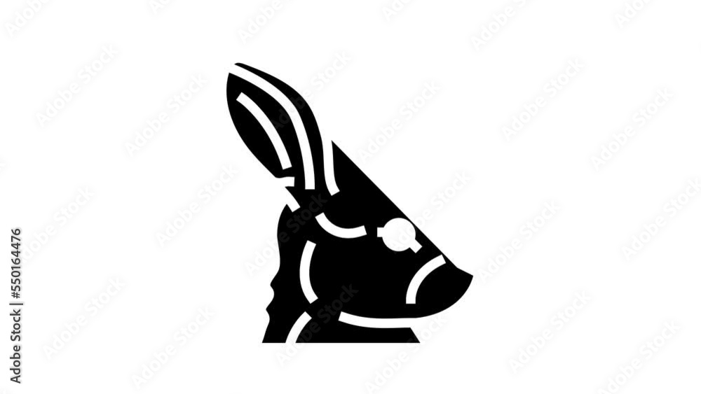 rabbit animal zoo glyph icon animation rabbit animal zoo glyph icon animation
