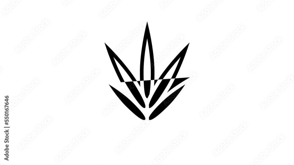 bamboo leaf line icon animation bamboo leaf line icon animation
