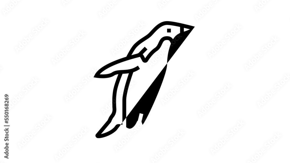 penguin bird line icon animation penguin bird line icon animation