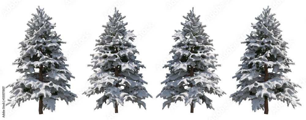 Obraz premium Winter tree
