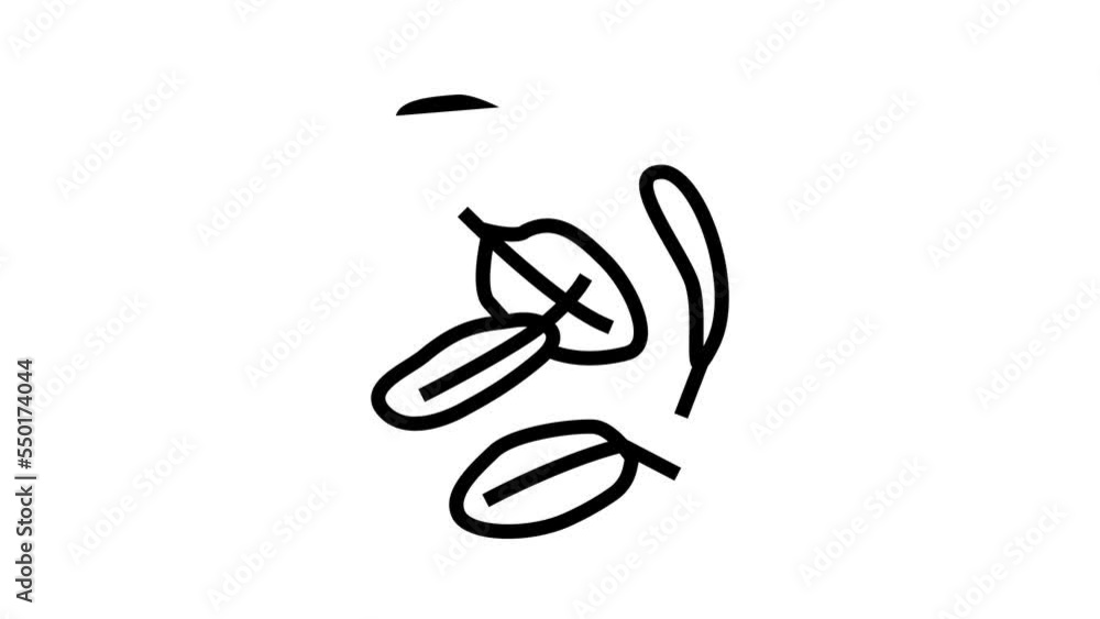 salad slice food cut line icon animation salad slice food cut line icon animation