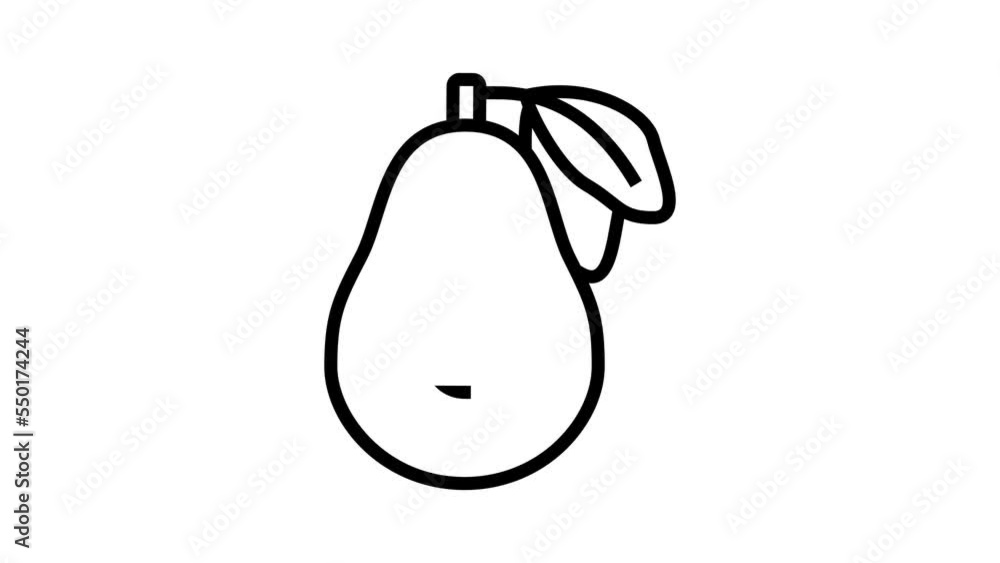 cut green avocado leaves line icon animation cut green avocado leaves line icon animation
