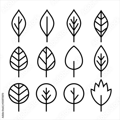  leaf icons design template vector