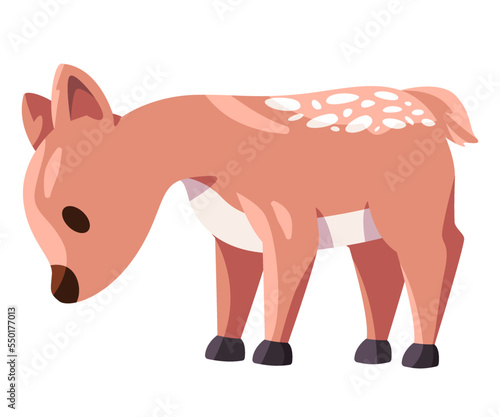 Bambi adorable baby deer in brown color cute young animal illustration head down