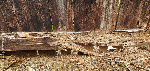 wooden fen eaten by termites