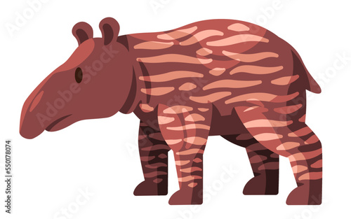 Tapir tapiridae brown stripped standing large herbivorous mammals with nose trunk