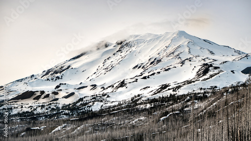 Snowy Mt. Adams - Gifford Pinchot National Forest - Wilderness photo