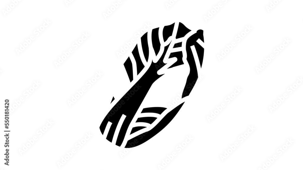 chinese cabbage glyph icon animation chinese cabbage glyph icon animation