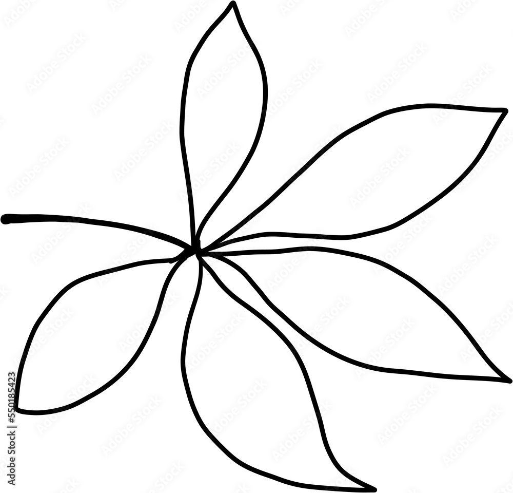 simplicity maple freehand drawing flat design. simplicity maple freehand drawing flat design.