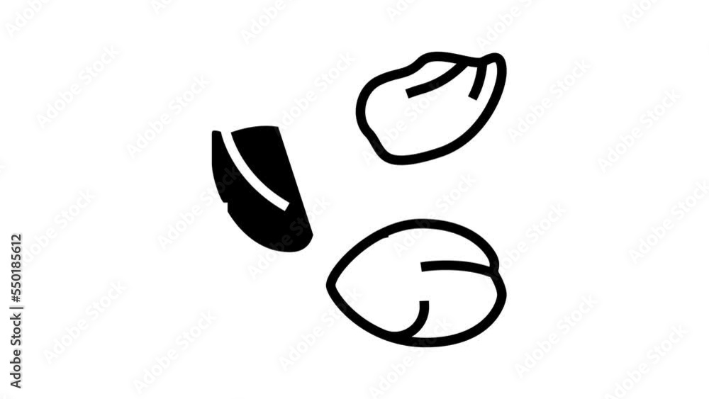 petal spring line icon animation petal spring line icon animation