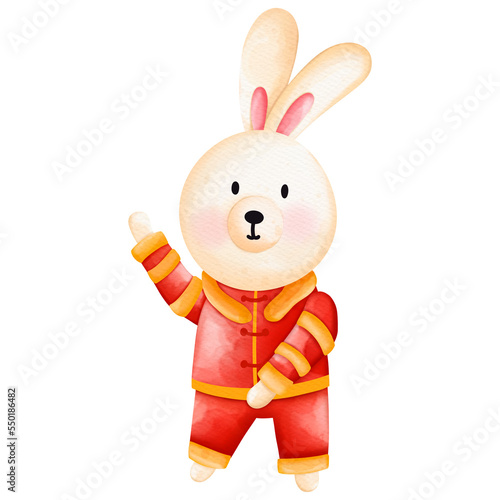 Cute bunny in Chinese traditional costume, Cheongsam dress