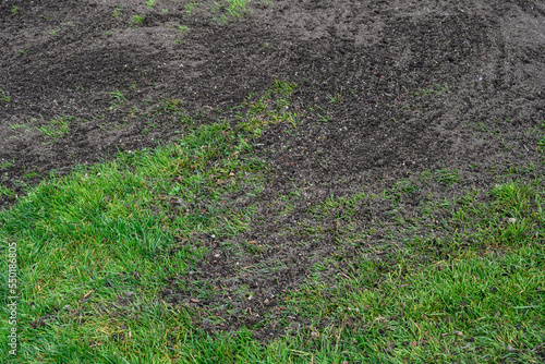 Major lawn repair and reseeding project, fresh seeds and rich topsoil in a green lawn 