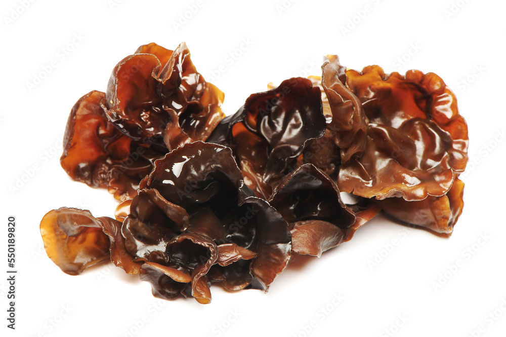 black fungus on white background black fungus on white background