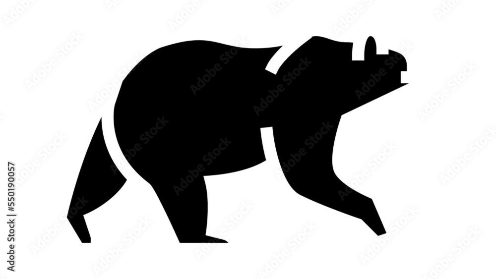 bear animal in zoo glyph icon animation bear animal in zoo glyph icon animation