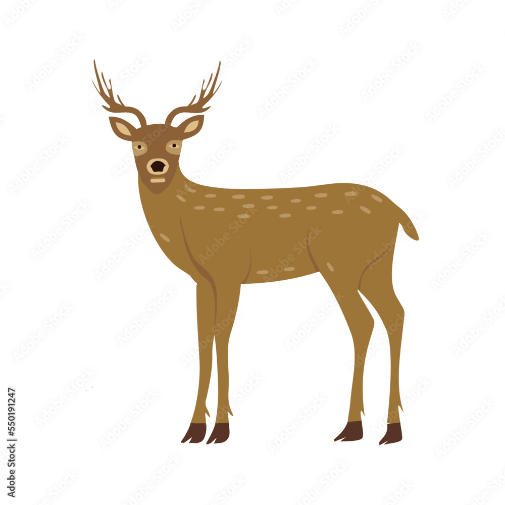 deer vector deer vector