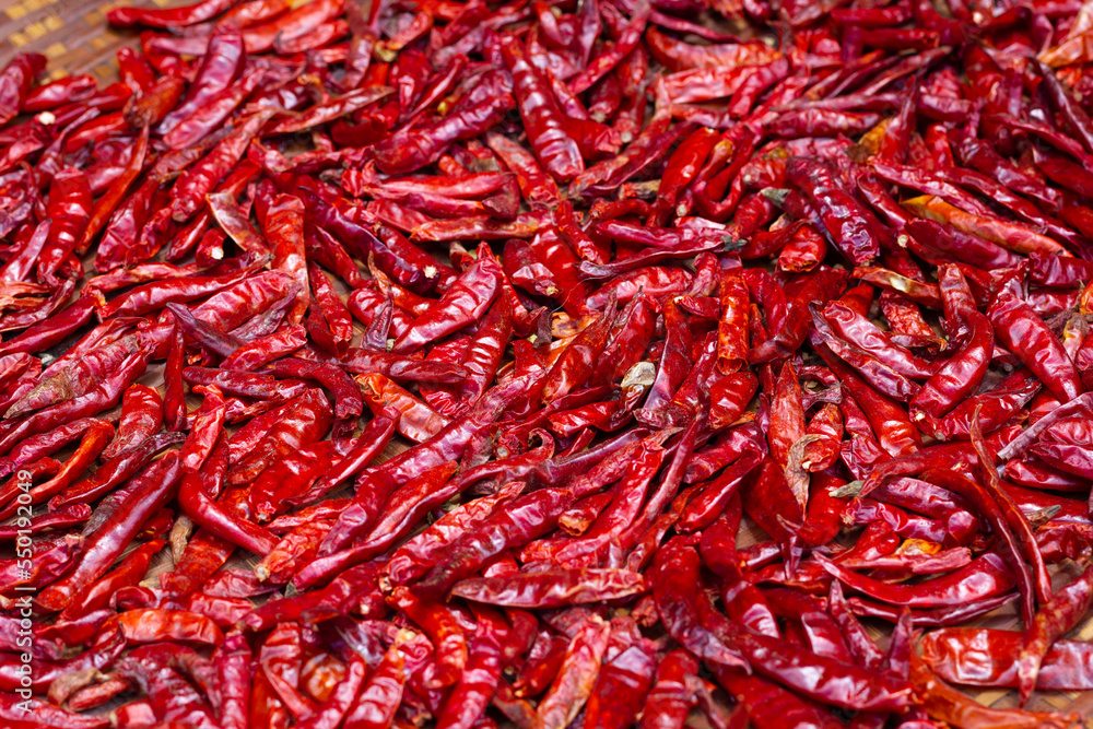 Naklejka premium Red hot chili peppers drying on sun