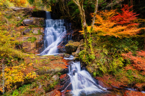 Naklejka 秋の深山峡