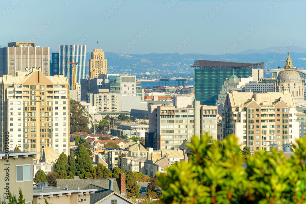 Cityscape with businesses and downtown buildings in late afternoon sun with tree foreground and foggy skies Cityscape with businesses and downtown buildings in late afternoon sun with tree foreground and foggy skies