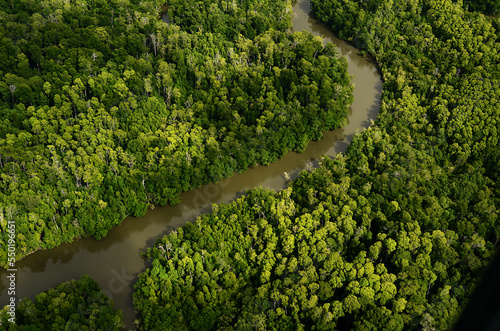 PNG-dense jungle surrounds the Delta regions of remote Papua New Guinea