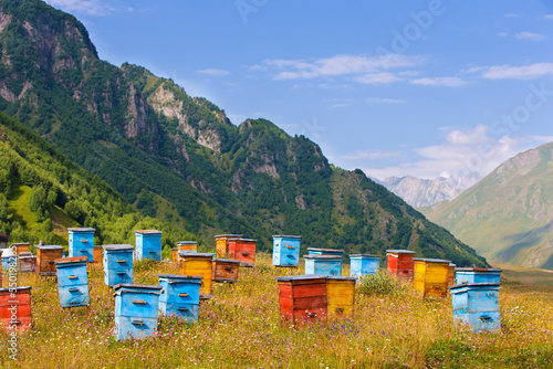 Wooden beehives against the backdrop of mountains. Beehives in a colorful flower meadow in the mountains of Georgia.Beekeeping in mountainous areas.