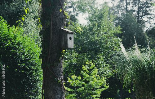 Foto birdhouse on tree