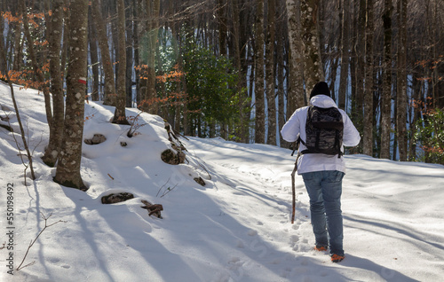 hikers walking in the snow