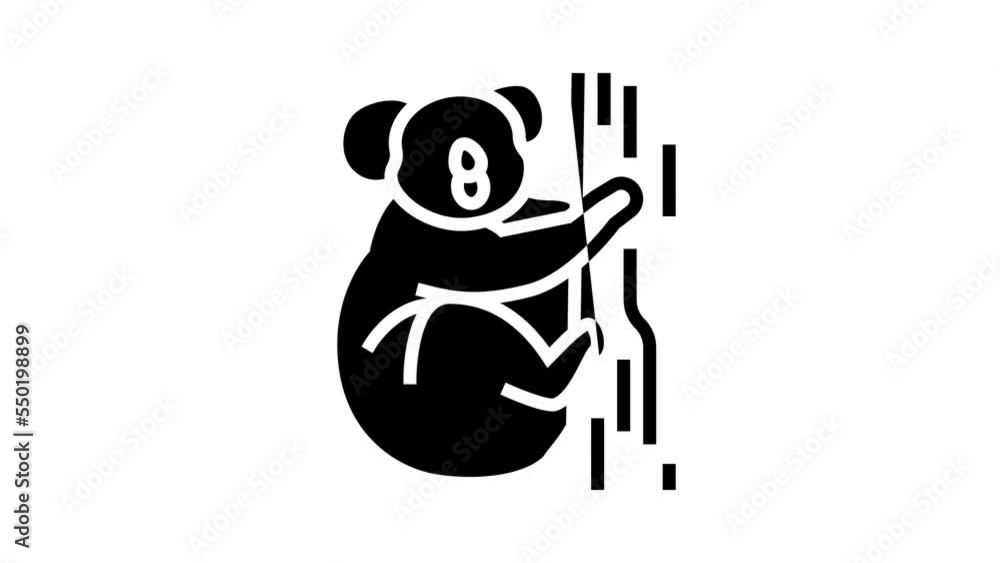 koala animal in zoo line icon animation koala animal in zoo line icon animation