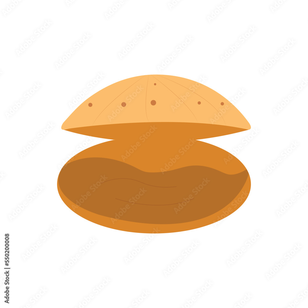 Vector Sketch Shell isolated on white background. Vector Sketch Shell isolated on white background.