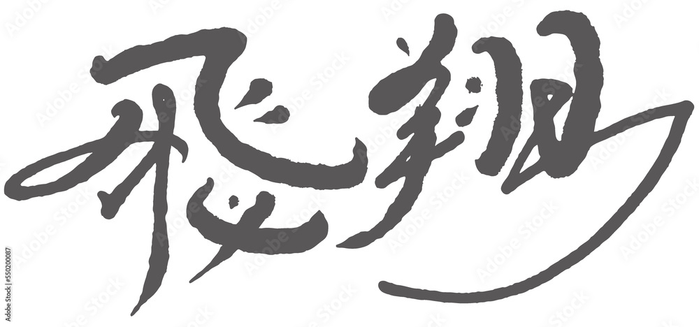 飛翔, 飛翔,