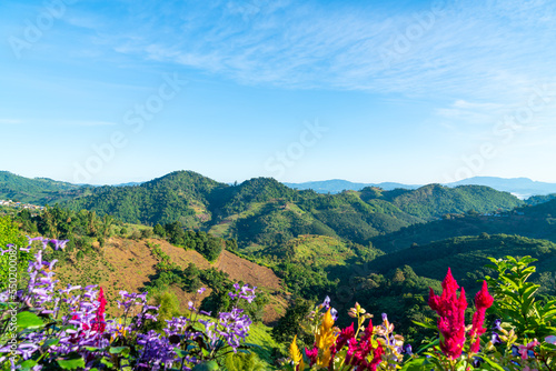 beautiful mountain hill layer with blue sky