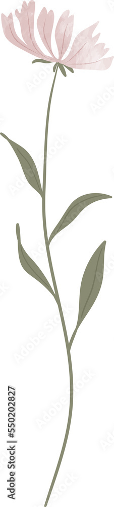 Watercolor flower illustration Watercolor flower illustration