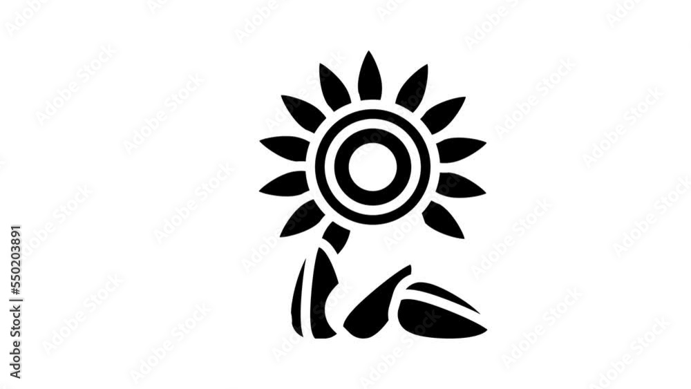 sunflower nut glyph icon animation sunflower nut glyph icon animation