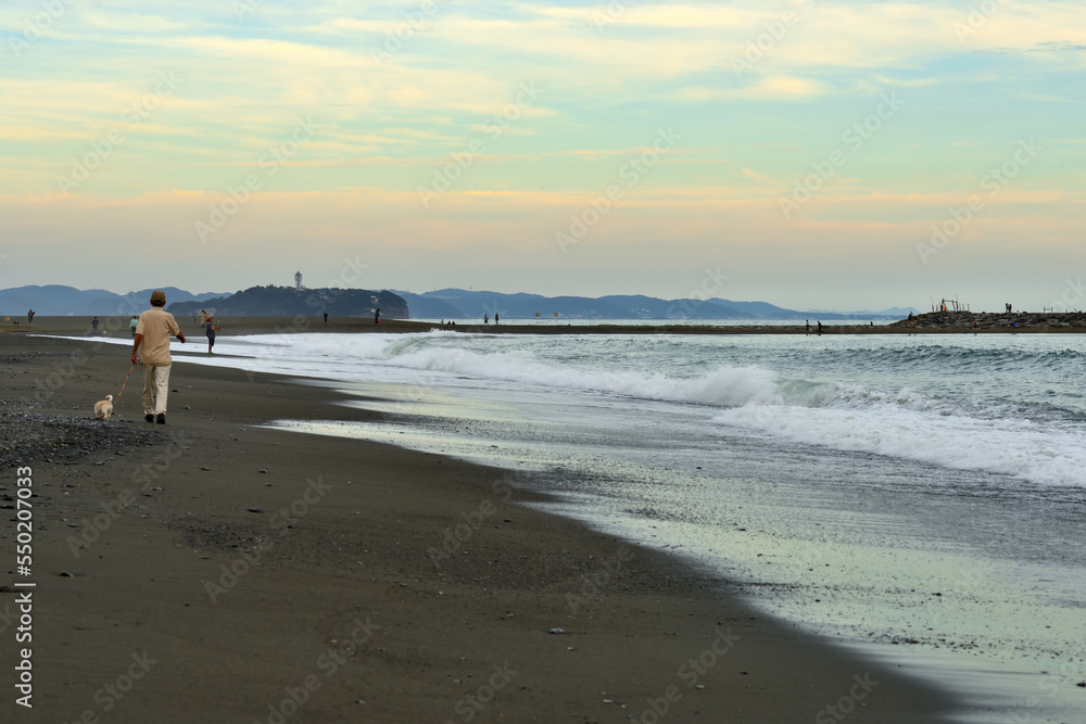 波打ち際で犬の散歩する人と遠くに見える江の島