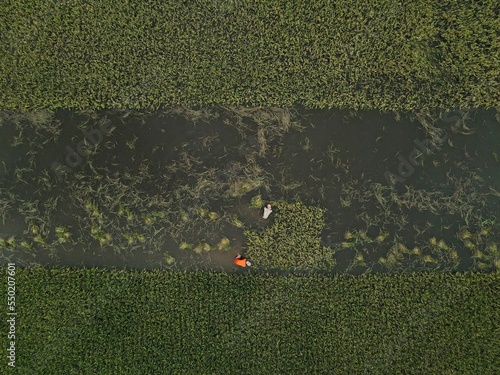 Aerial shot of flooded Area in Taherpur Sunamganj,Bangladesh photo