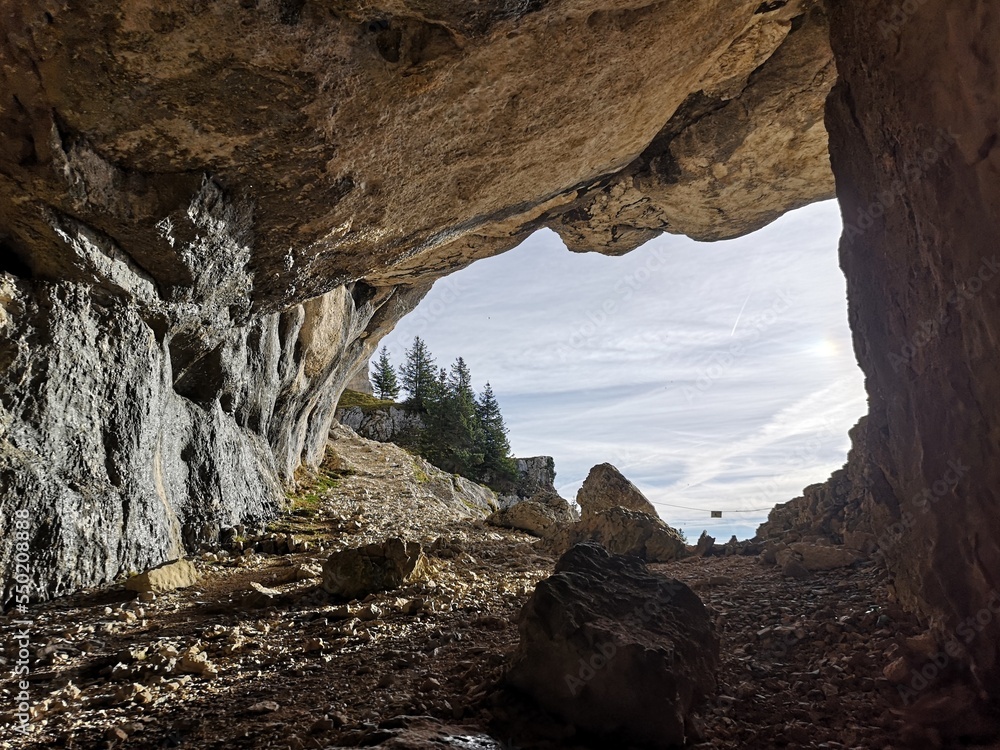 Grotte des ours du massif de la Chartreuse- Balme à Collomb
