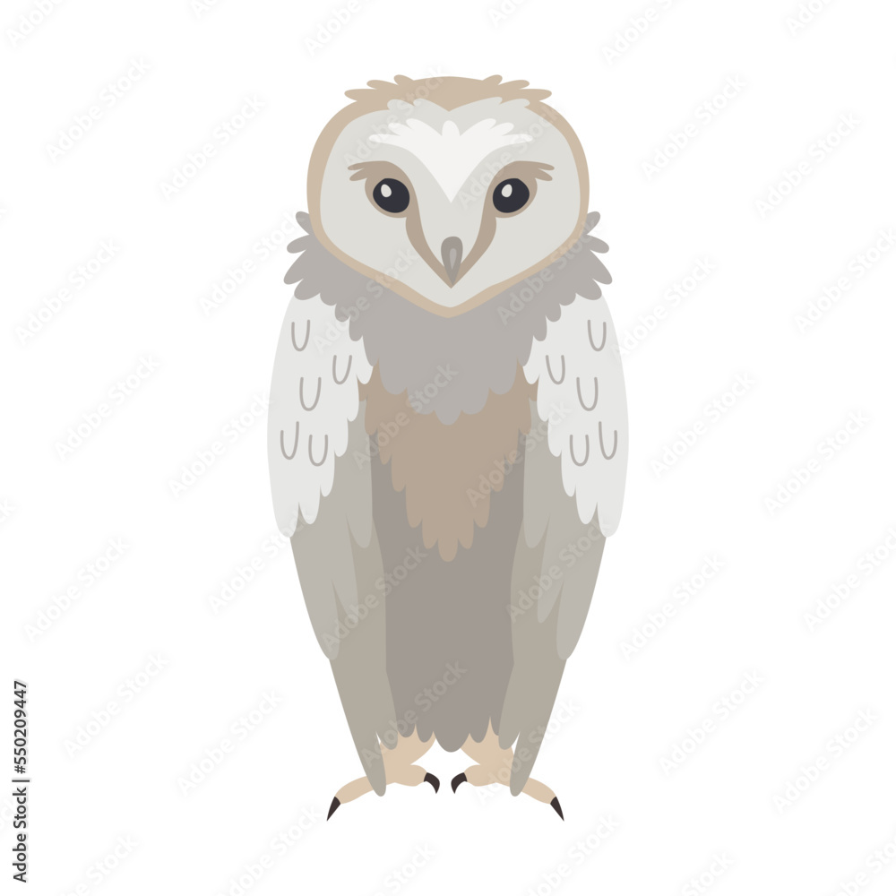 Grey owl cartoon illustration. Predatory bird or beautiful flying creatures isolated on white background Grey owl cartoon illustration. Predatory bird or beautiful flying creatures isolated on white background