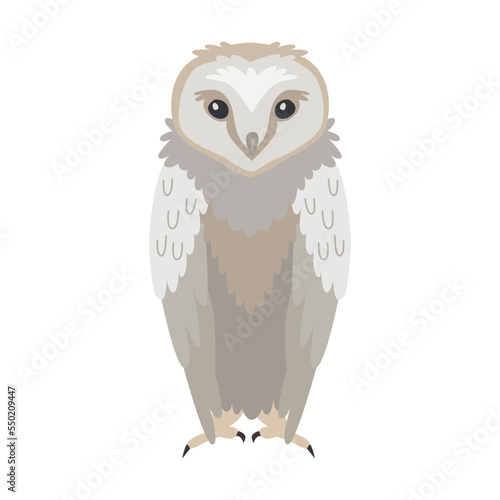 Grey owl cartoon illustration. Predatory bird or beautiful flying creatures isolated on white background