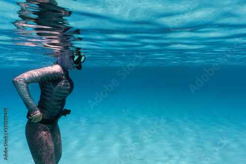 Woman in sharkskin suit and freedive gear hovering near surface of clear turquoise water with sandy bottom in Bahamas. Woman is wearing weight belt and mask and snorkel.  photo