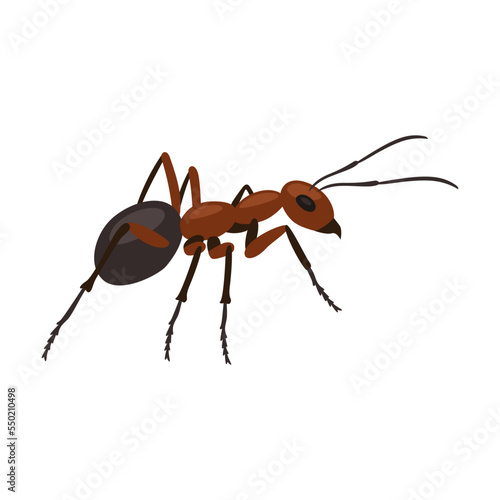 Small ant insect on white background cartoon illustration. Lady bug, beetle, grub, cockroach, roach, ant, butterfly