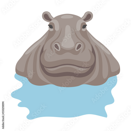 Hippo sitting in water cartoon illustration. African animal sitting, swimming in lake or river and standing on white background