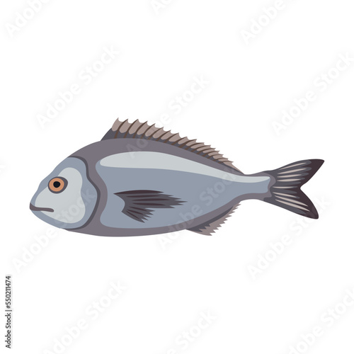 Seafood or marine fish cartoon illustration. Crab, lobster, oyster, tuna, shrimp, mussel, salmon and crayfish isolated on white