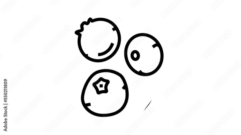 blue blueberry berry line icon animation blue blueberry berry line icon animation