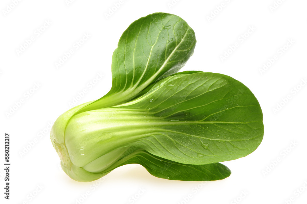 Pok Choi on white background Pok Choi on white background