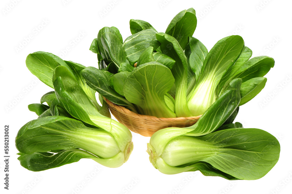 Pok Choi on white background